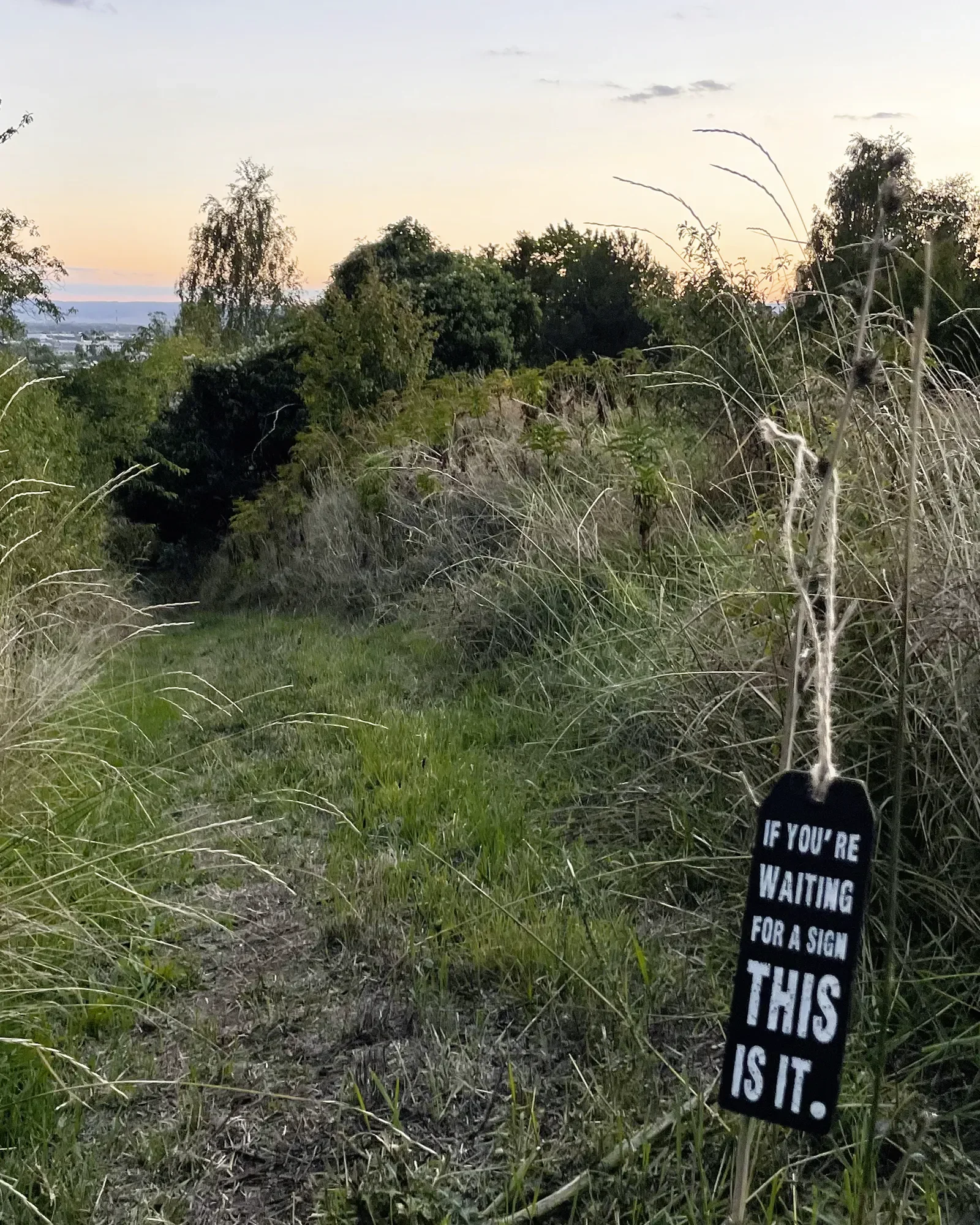 Wiesenpfad im Abendlicht mit einem Schild: „If you're waiting for a sign, this is it.“